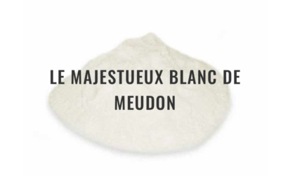 Le majestueux blanc de Meudon, Les 12 recettes de grand-mère.